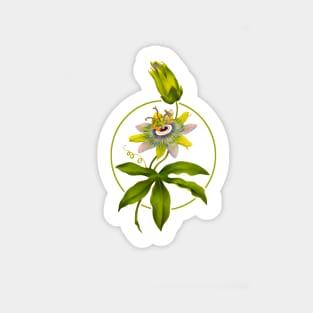 Passion fruit flower Sticker